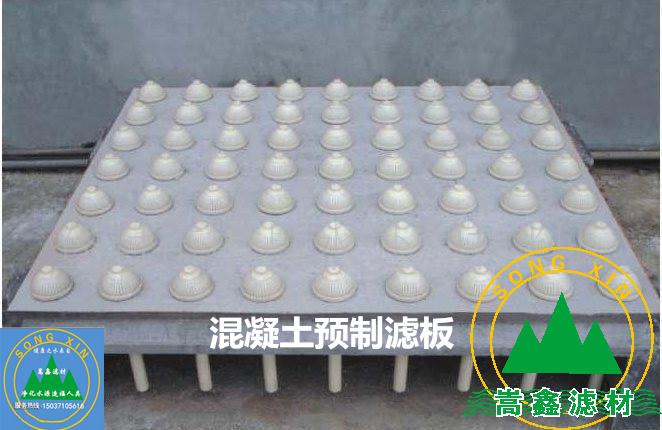 �V�^�V�尲�b�D